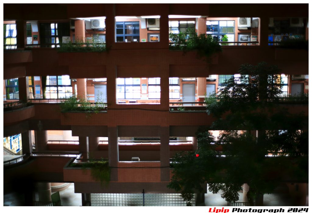 國中生迎戰會考 大學師資生陪讀解題